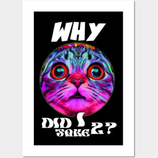 Why did I take two? Bad life decision cat at it again Posters and Art